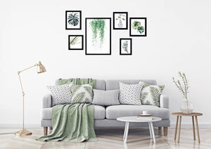 Plant Study Collection - Zebra Blush