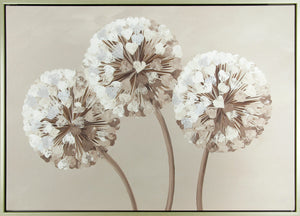 Chocolate Allium Hearts - Zebra Blush