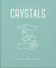 Load image into Gallery viewer, LITTLE BOOK OF CRYSTALS (ORANGE HIPPO) - Zebra Blush
