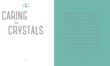 Load image into Gallery viewer, LITTLE BOOK OF CRYSTALS (ORANGE HIPPO) - Zebra Blush
