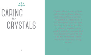 LITTLE BOOK OF CRYSTALS (ORANGE HIPPO) - Zebra Blush