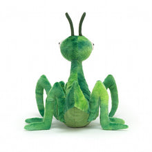 Load image into Gallery viewer, Penny Praying Mantis - Zebra Blush
