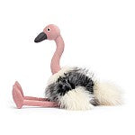Load image into Gallery viewer, Ramonda Ostrich
