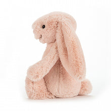 Load image into Gallery viewer, Bashful Blush Bunny Small - Zebra Blush
