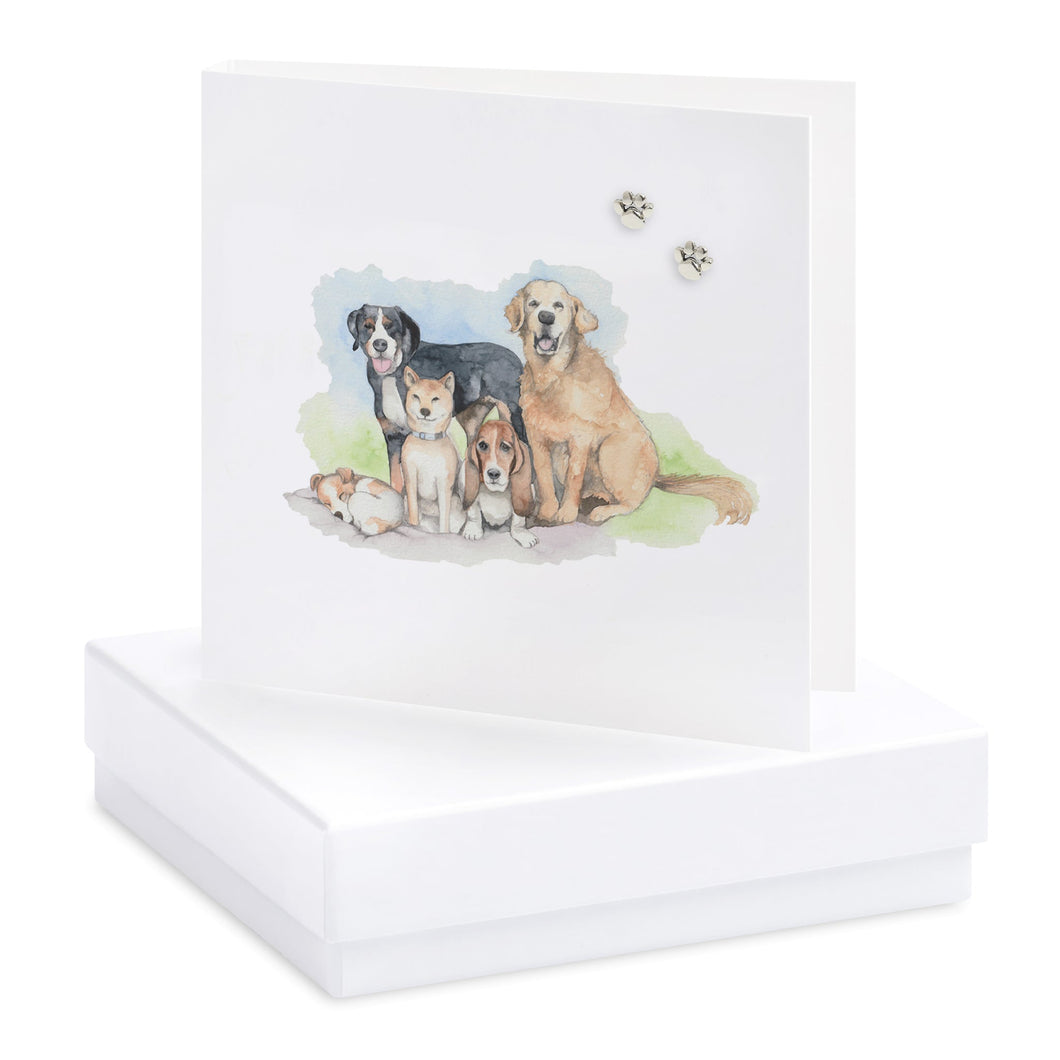 Boxed Dogs Earring Card