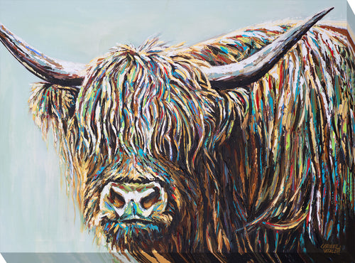 Woolly Highland Cow I - Zebra Blush