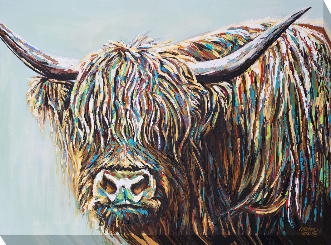 Woolly Highland Cow I - Zebra Blush