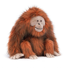 Load image into Gallery viewer, Oswald Orangutan
