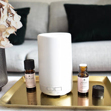 Load image into Gallery viewer, Calm Ultrasonic Diffuser - Zebra Blush
