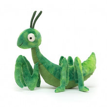 Load image into Gallery viewer, Penny Praying Mantis - Zebra Blush
