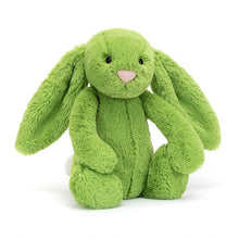 Load image into Gallery viewer, Bashful Apple Bunny
