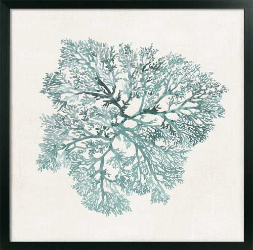 Teal Coral I - Zebra Blush
