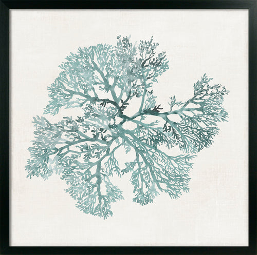 Teal Coral II - Zebra Blush