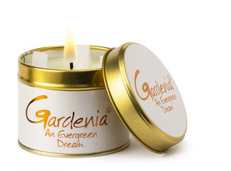 Gardenia Tin Candle - Zebra Blush