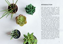 Load image into Gallery viewer, LITTLE BOOK FOR PLANT PARENTS - Zebra Blush
