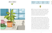 Load image into Gallery viewer, WINDOWSILL GARDENER - Zebra Blush
