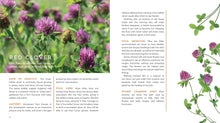 Load image into Gallery viewer, GARDEN APOTHECARY - Zebra Blush
