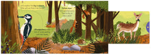 Load image into Gallery viewer, BIG OUTDOORS FOR LITTLE EXPLORERS

