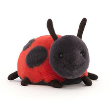 Load image into Gallery viewer, Layla Ladybird
