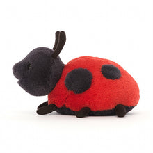 Load image into Gallery viewer, Layla Ladybird
