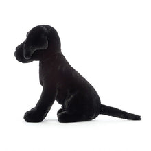 Load image into Gallery viewer, Pippa Black Labrador
