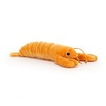 Sensational Seafood Langoustine - Zebra Blush