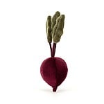 Vivacious Vegetable Beetroot - Zebra Blush