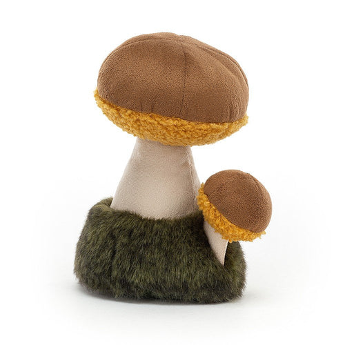 Wild Nature Boletus Mushroom - Zebra Blush