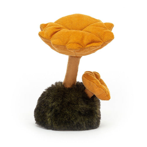 Wild Nature Chanterelle Mushroom - Zebra Blush