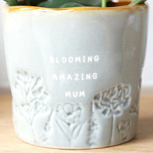 Load image into Gallery viewer, Glazed Ombré &#39;Blooming Amazing Mum&#39; Planter
