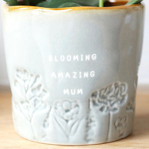 Glazed Ombré 'Blooming Amazing Mum' Planter