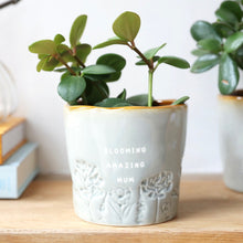 Load image into Gallery viewer, Glazed Ombré &#39;Blooming Amazing Mum&#39; Planter
