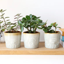 Load image into Gallery viewer, Glazed Ombré &#39;Blooming Amazing Mum&#39; Planter

