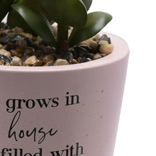 Load image into Gallery viewer, Moments Faux Succulent Love Grows
