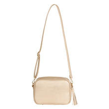 Load image into Gallery viewer, Cross Body Bag, Gold Single Zip - Zebra Blush
