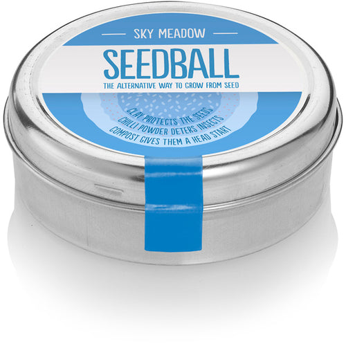 Sky Meadow - Zebra Blush