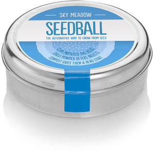 Sky Meadow - Zebra Blush