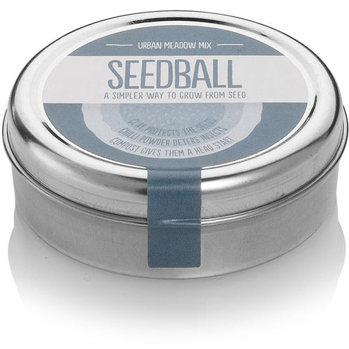 Urban Meadow Mix - Zebra Blush